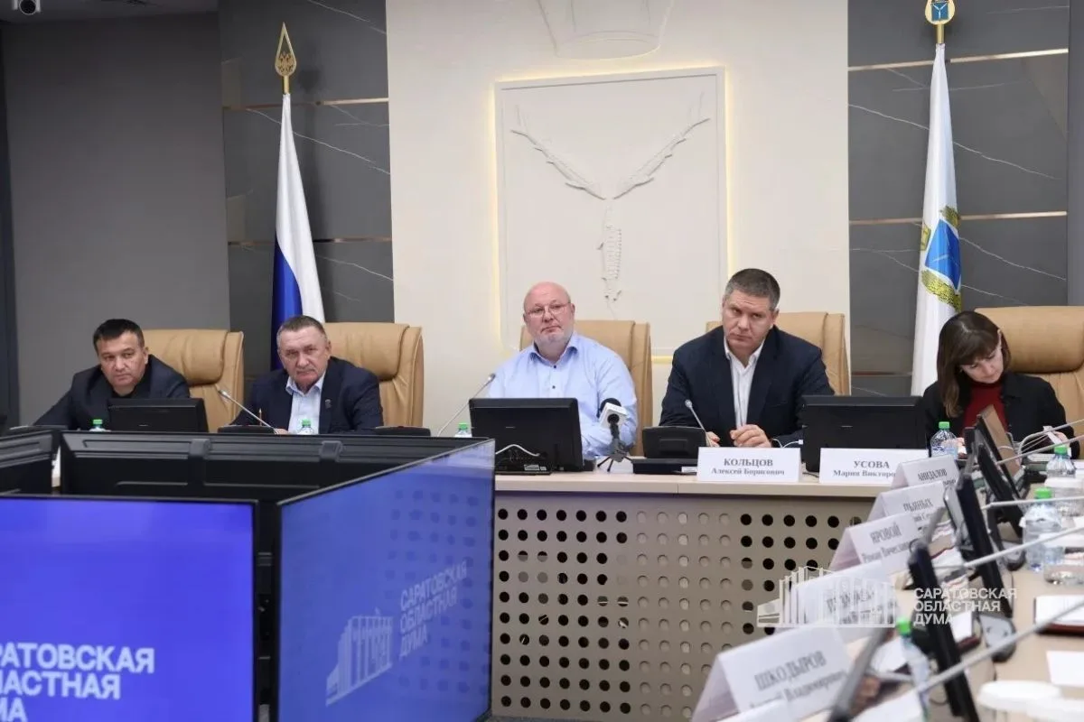 Депутаты отметили совершенствование законодательства по обеспечению жильём детей‑сирот