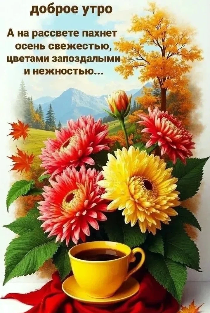 Тёплого вам дня 🙏