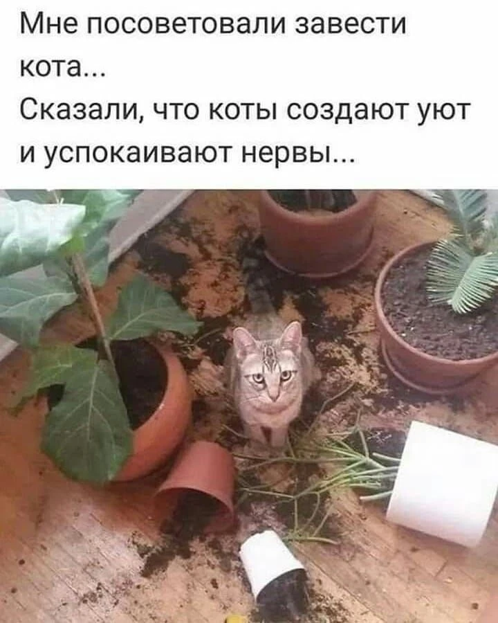 Уют создал и нервы успокоил 😂