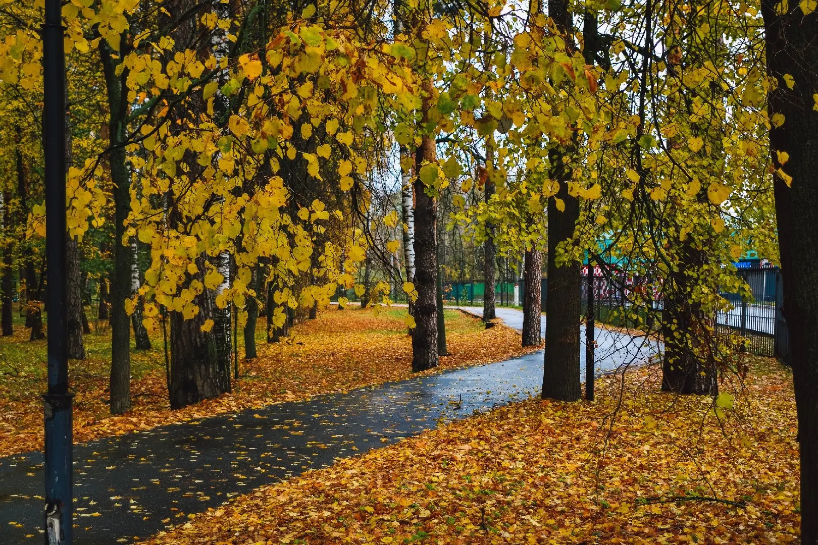 🍂  Золотая осень в московском регионе продлится как минимум до конца октября