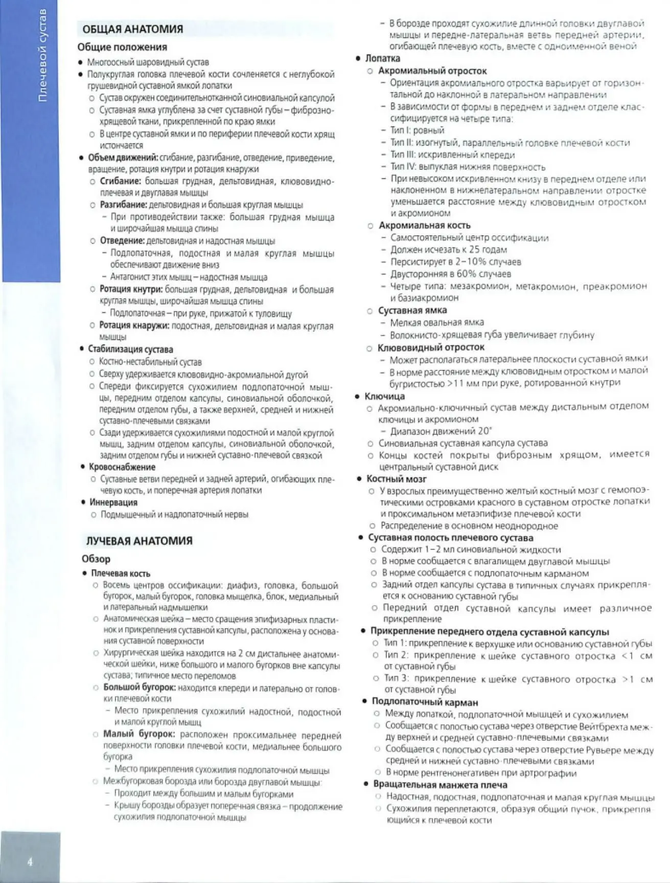 Плечевой сустав