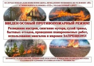 На всей территории края по-прежнему СТРОГО ЗАПРЕЩЕНЫ: