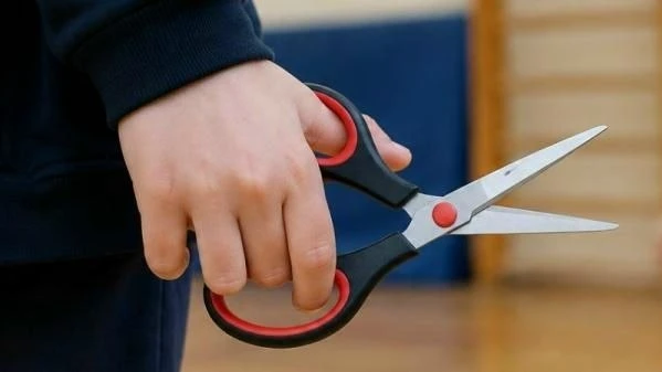 В Барнауле четвероклассник угрожал детям ножницами: проверки взяты на контроль