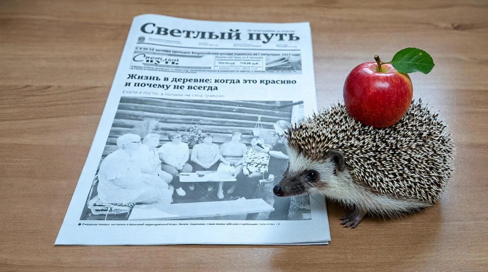 📰 Свежий номер газеты «Светлый путь»