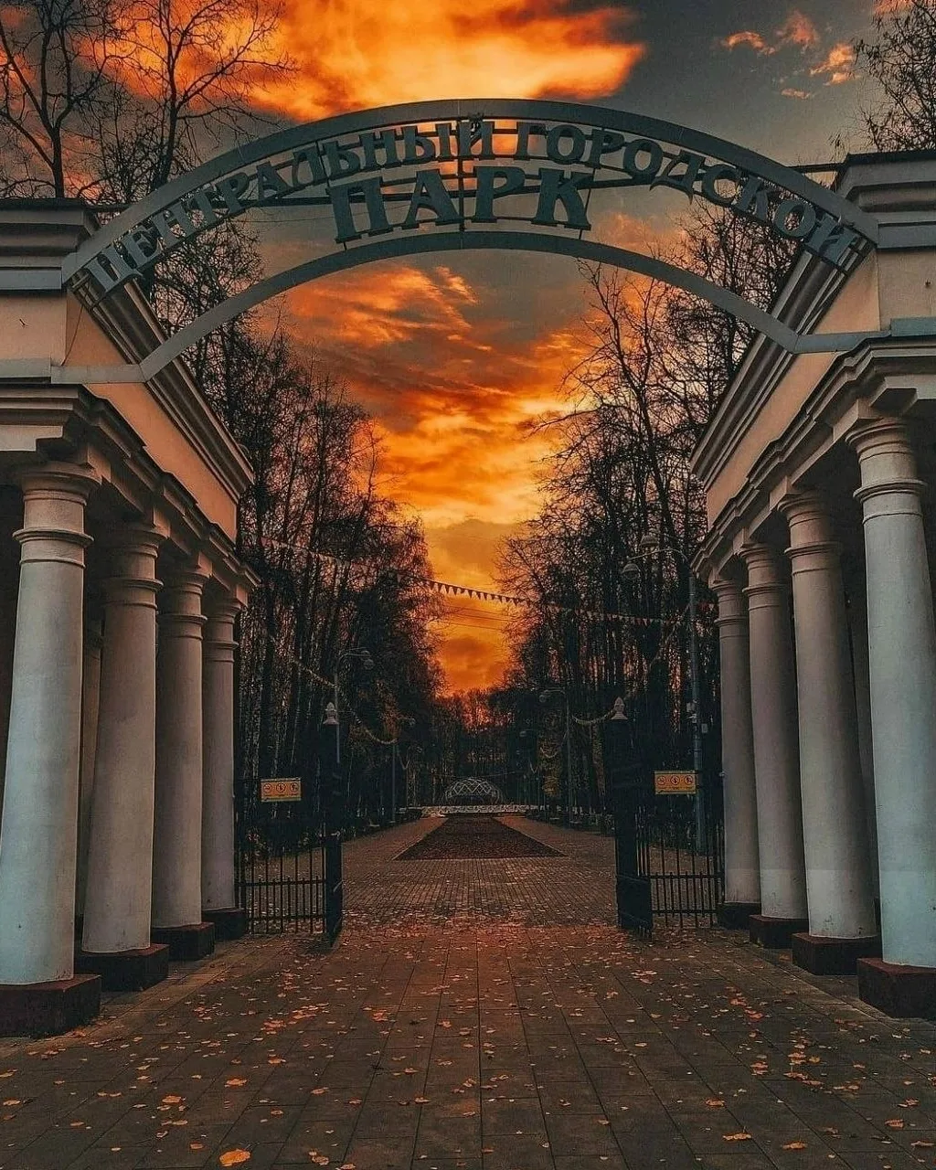 Спокойной ночи, Королёв🖤