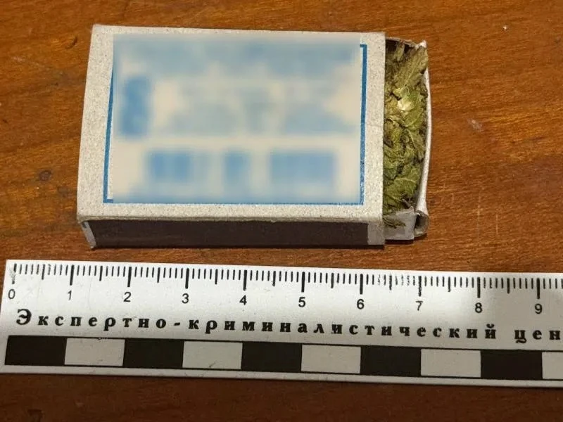 В Терском районе наркополицейские изъяли у местного жителя свыше 1,5 килограмма «мариху...