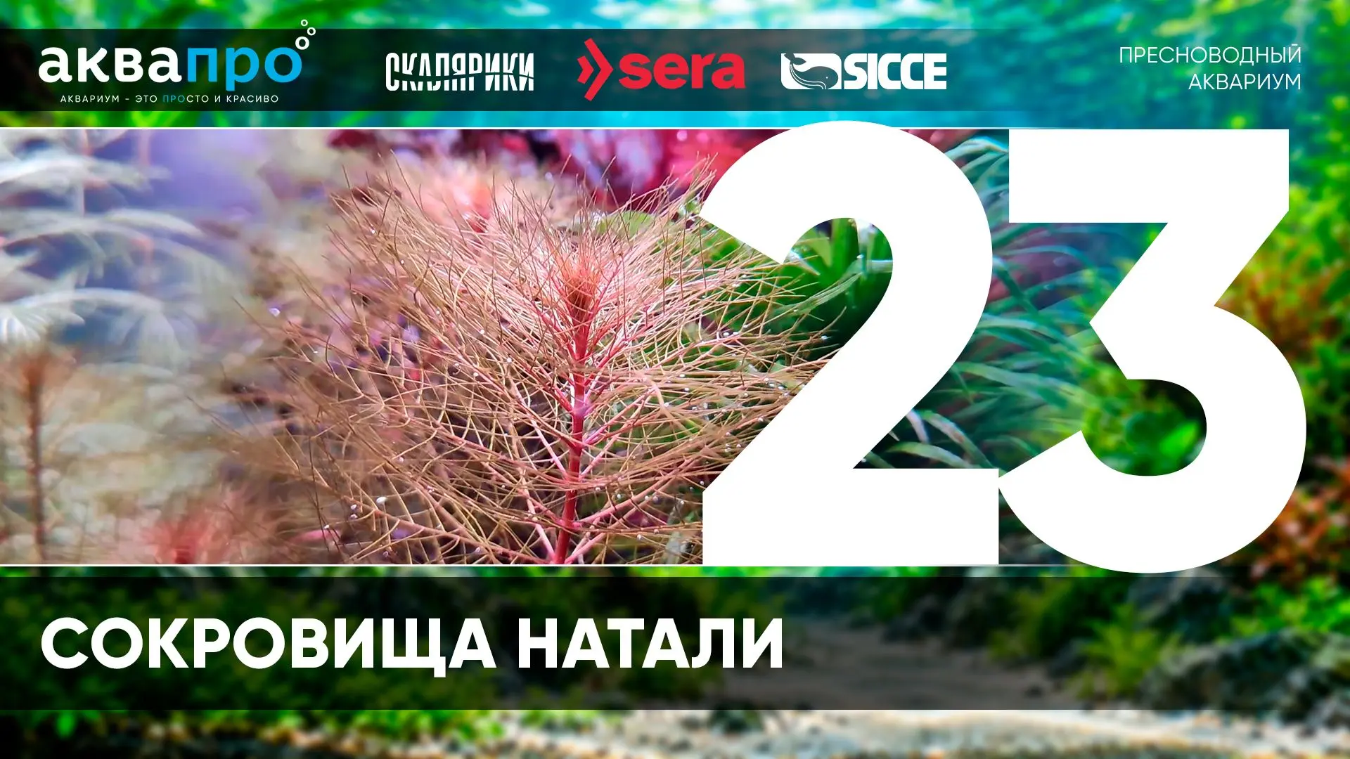 Фамилия Имя Отчество: Мифтахова Наталья Рафиковна