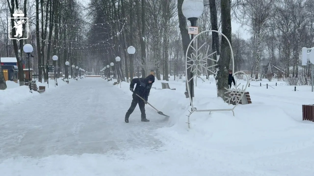 🌲 Парки Ярославля готовы к зиме