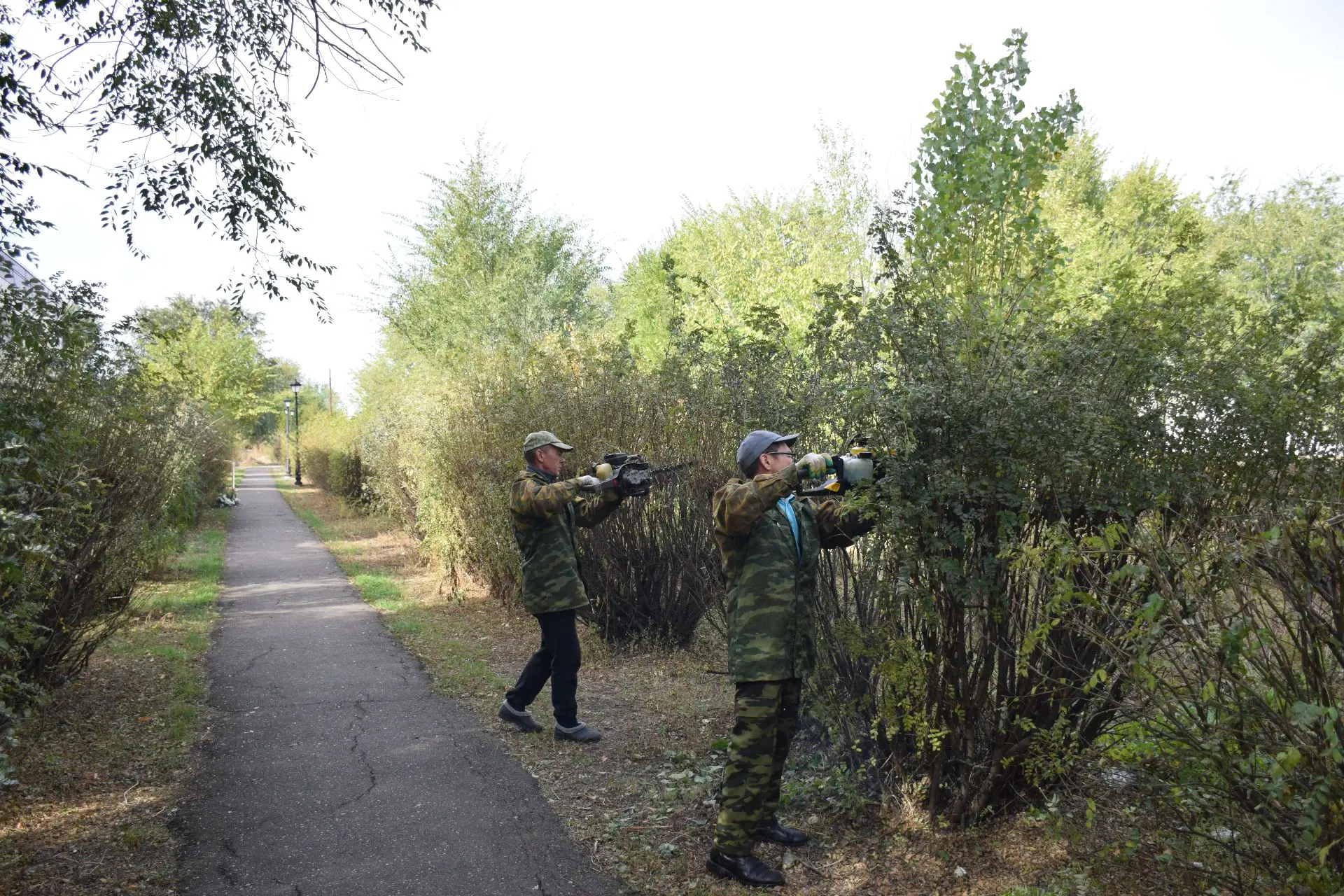 🌳Беляевский сельсовет продолжает благоустройство
