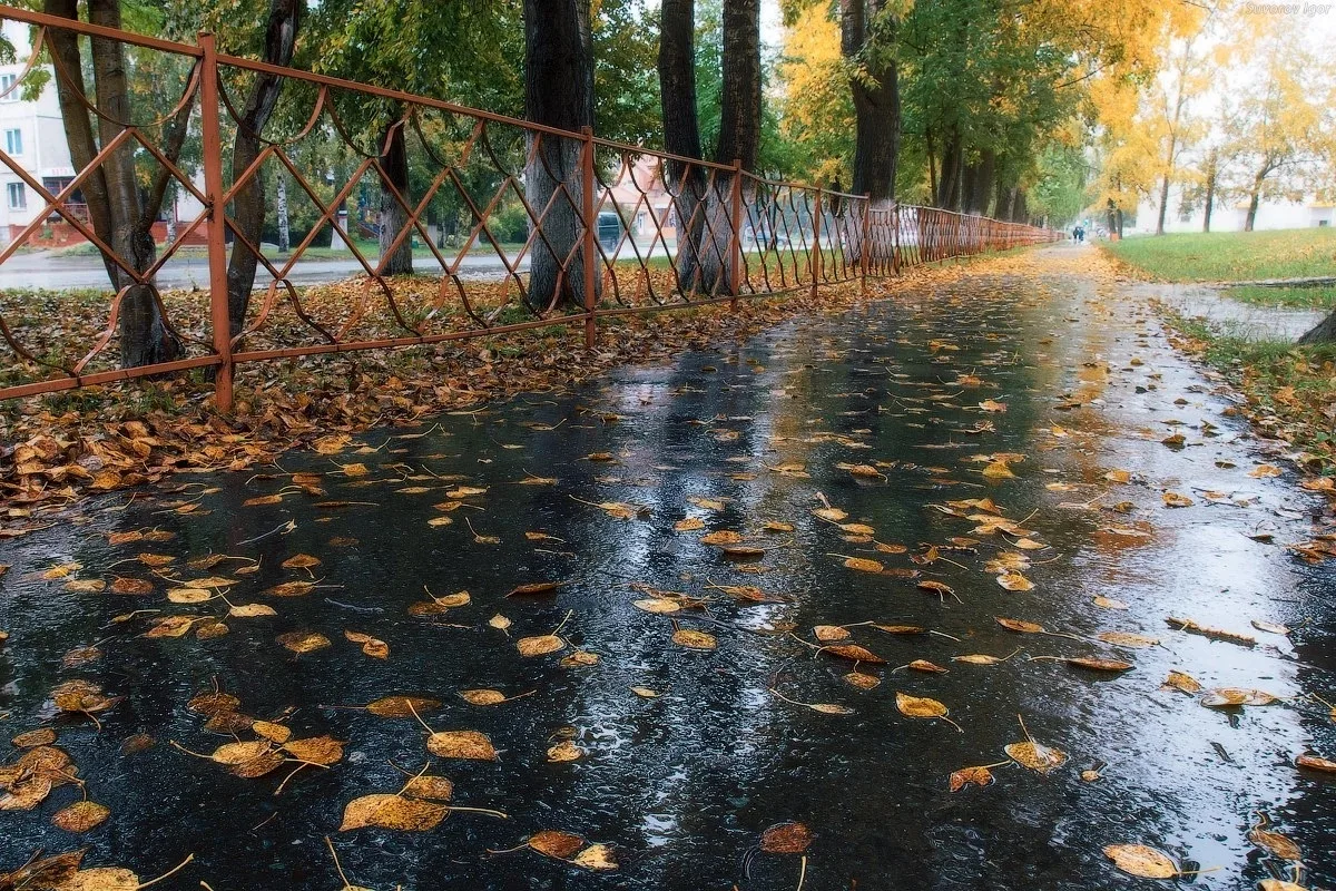 ☀️Доброе утро, Заринск Суббота, 10 октября!🍂