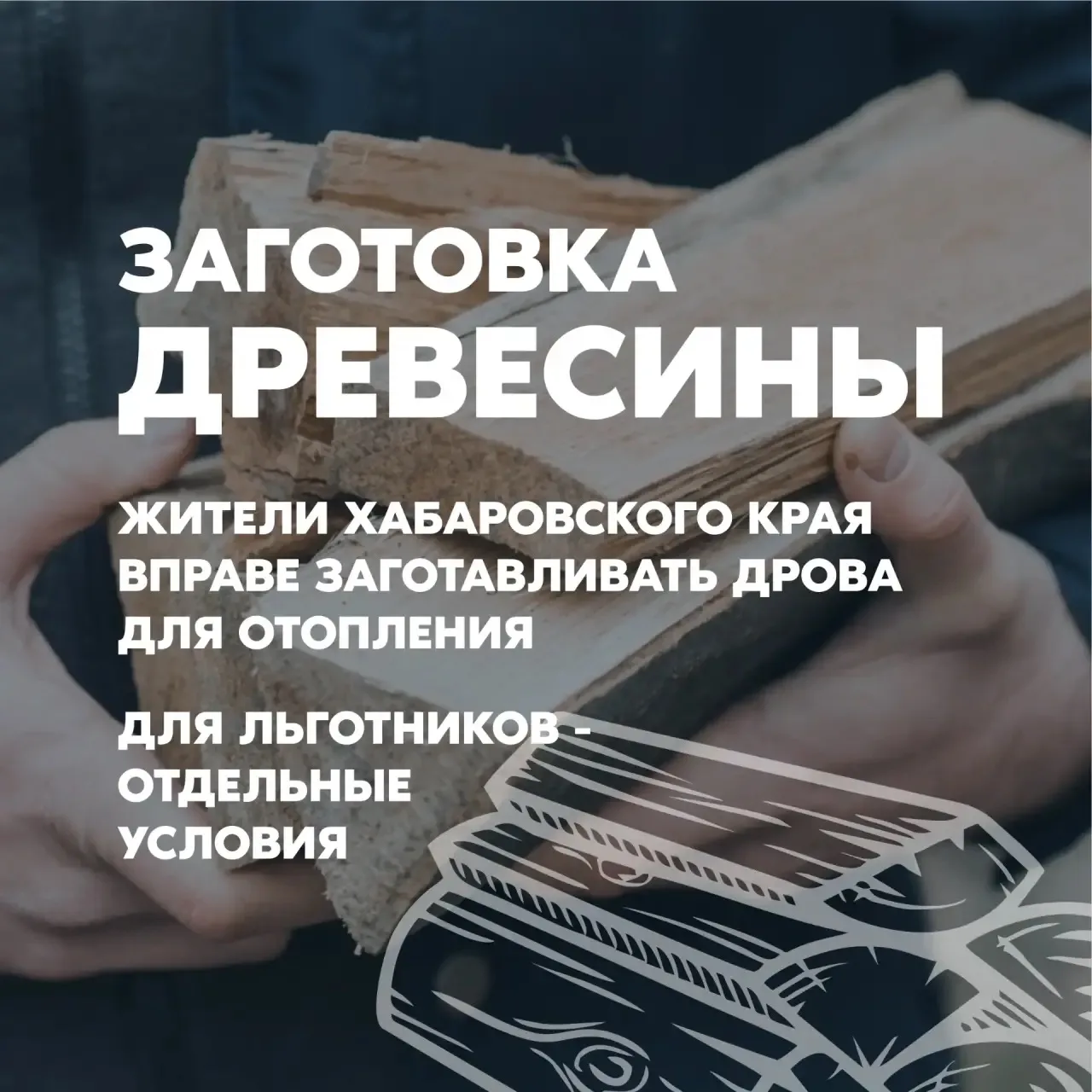 🪵 Заготовка древесины в Хабаровском крае: нормативы, льготы и порядок оформления