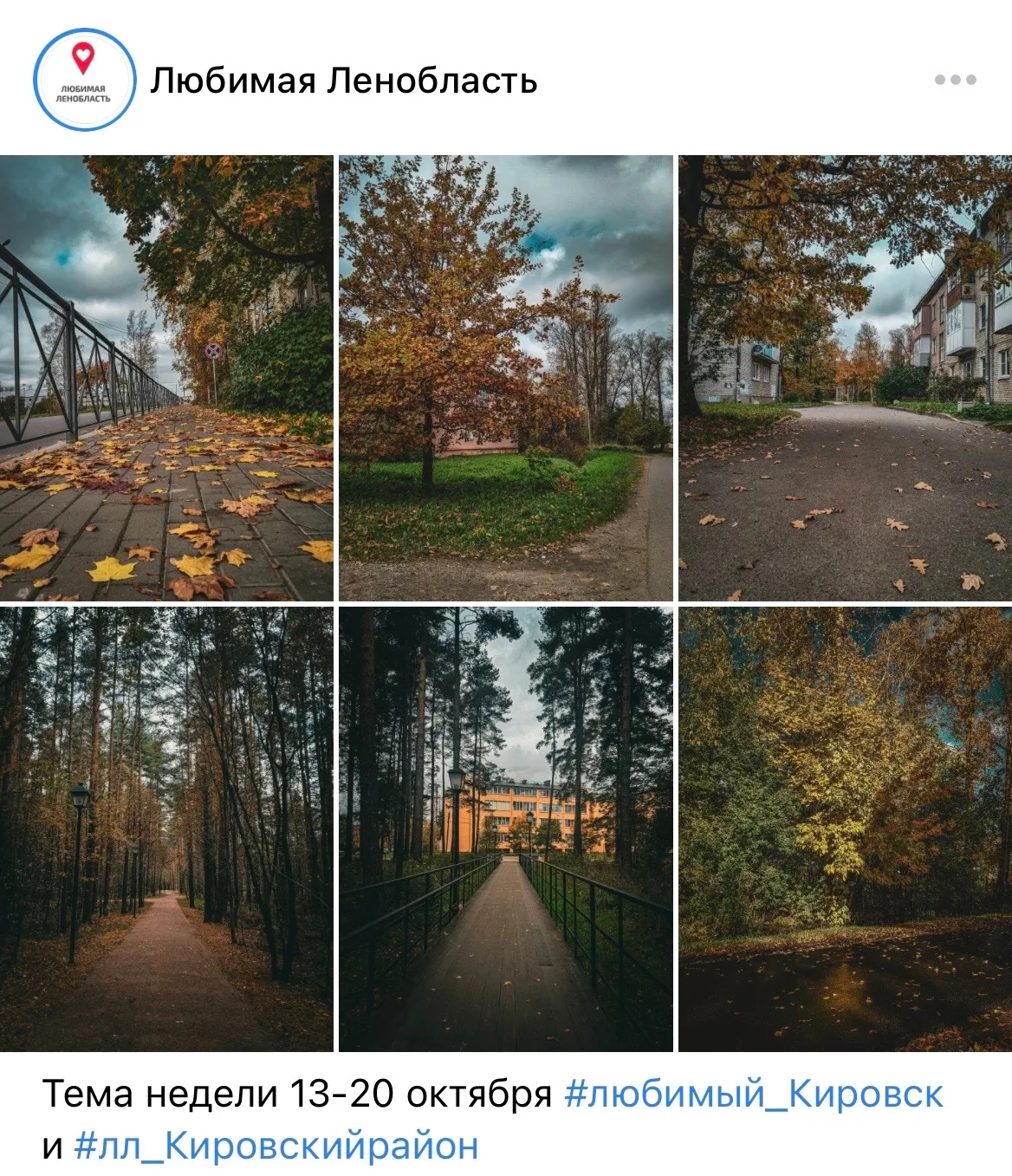 Тема недели 13-20 октября #любимый_Кировск и #лл_Кировскийрайон