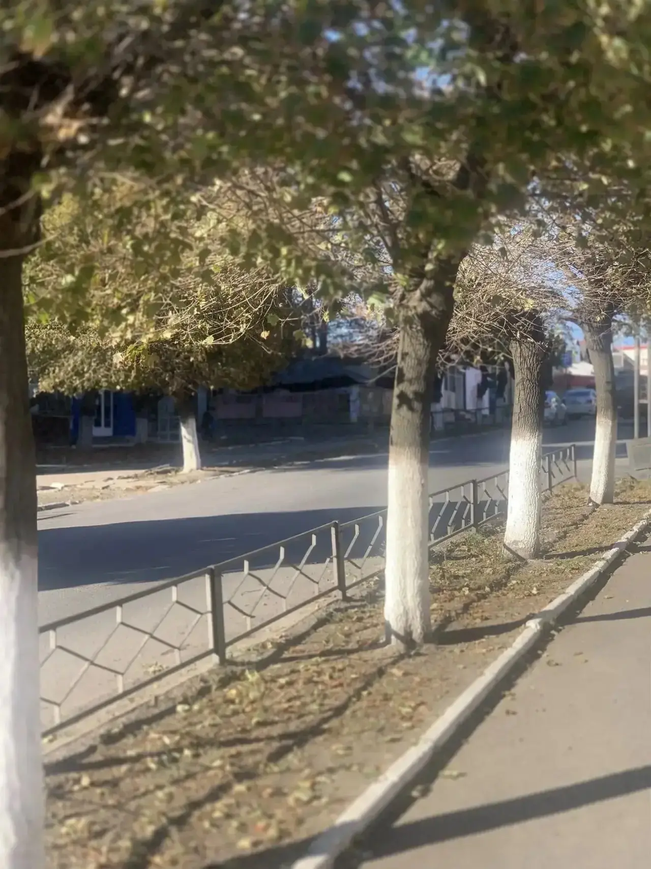 Доброе утро! 🍁
