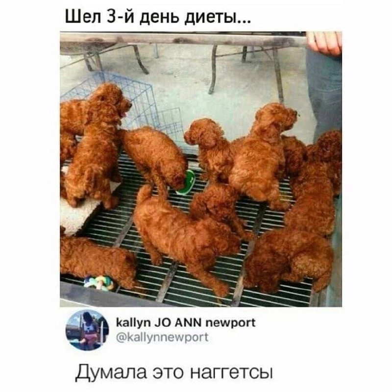 😂😂😂