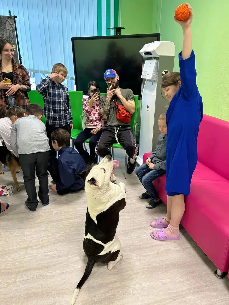 Александра из Череповца и его собаку Тао пригласили выступить для зрителей в цирке. 11 ...