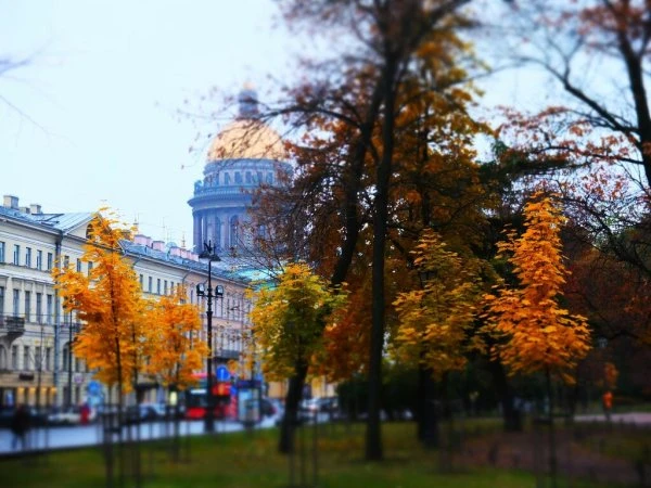 Наше путешествие продолжается и сегодня мы... в Питере!!!