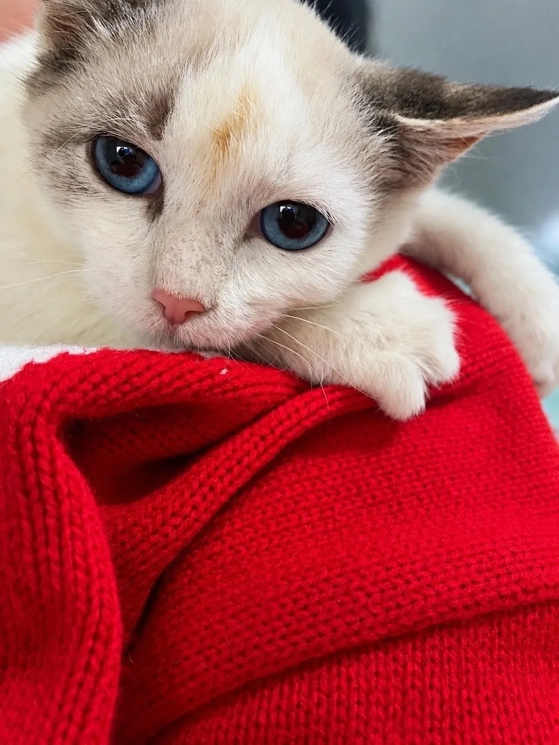 💙ПОСМОТРИТЕ 💙