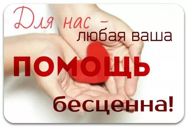 Товарищи!