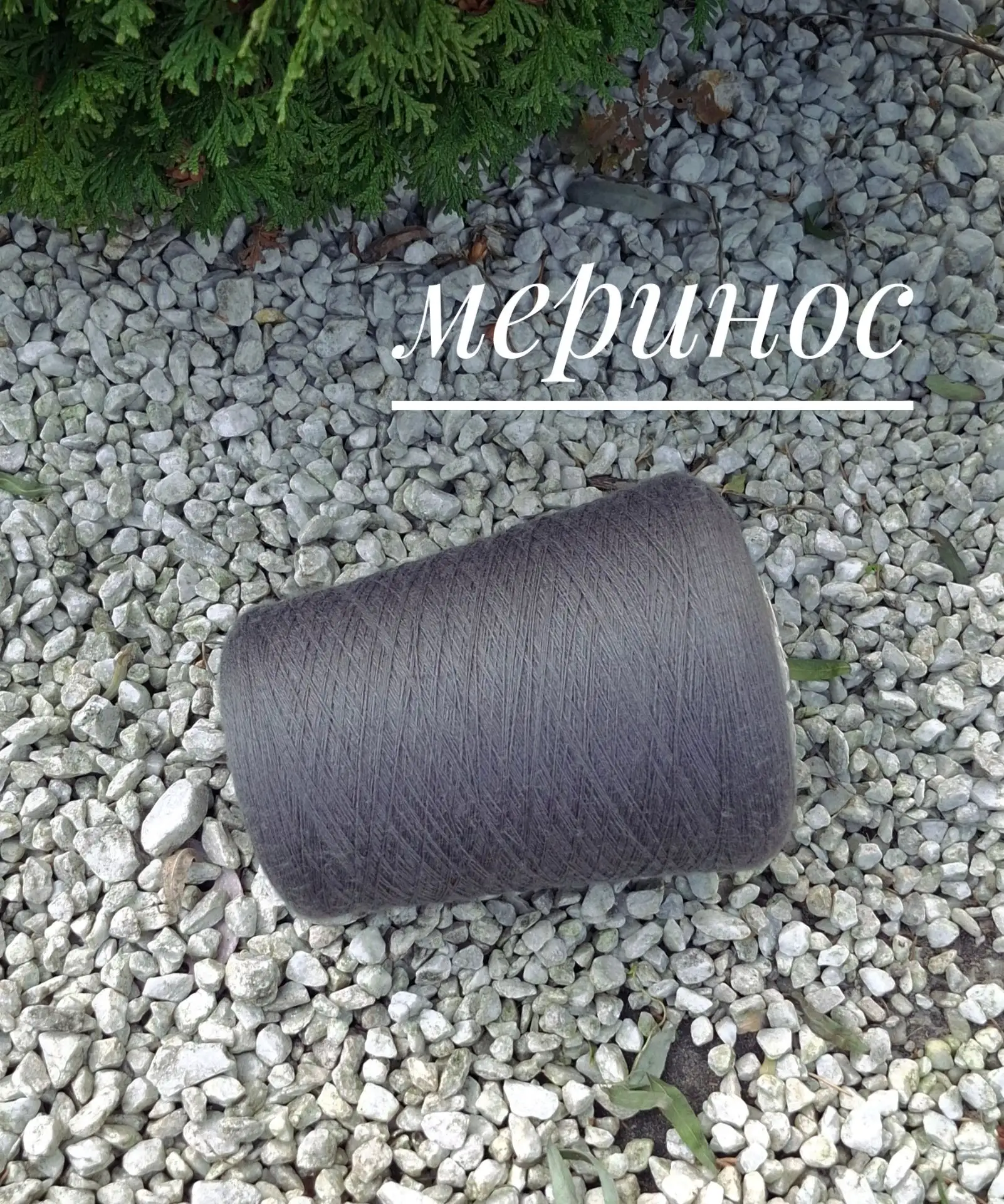 Серый гребенной меринос от