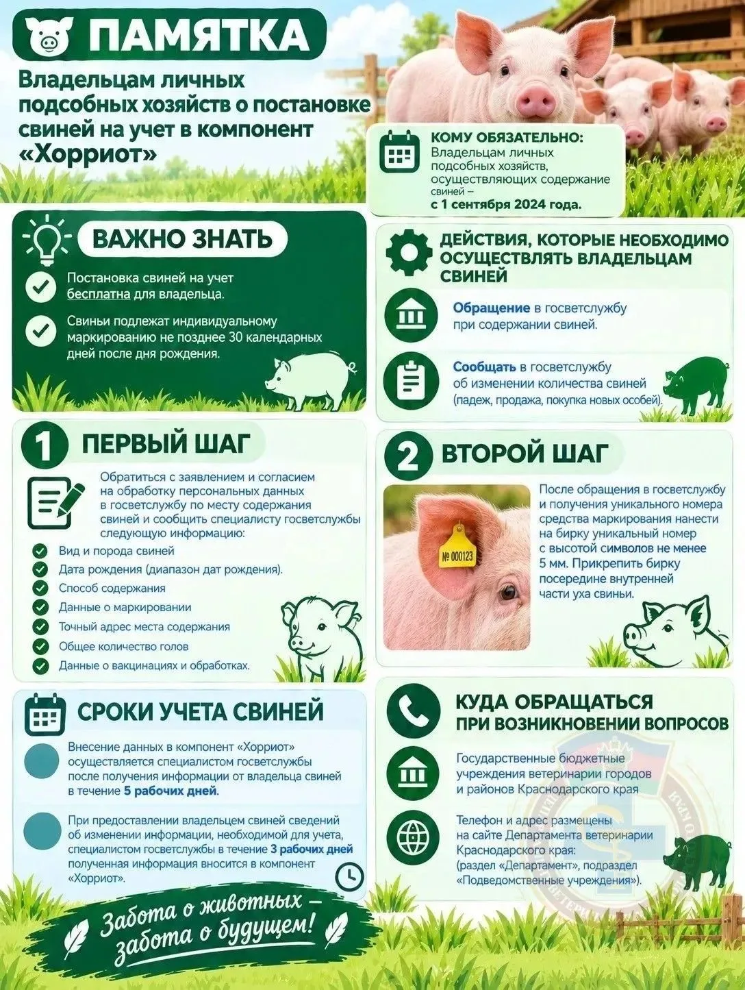 Уважаемые владельцы личных подсобных хозяйств! В карточках расскажем о постановке сельс...