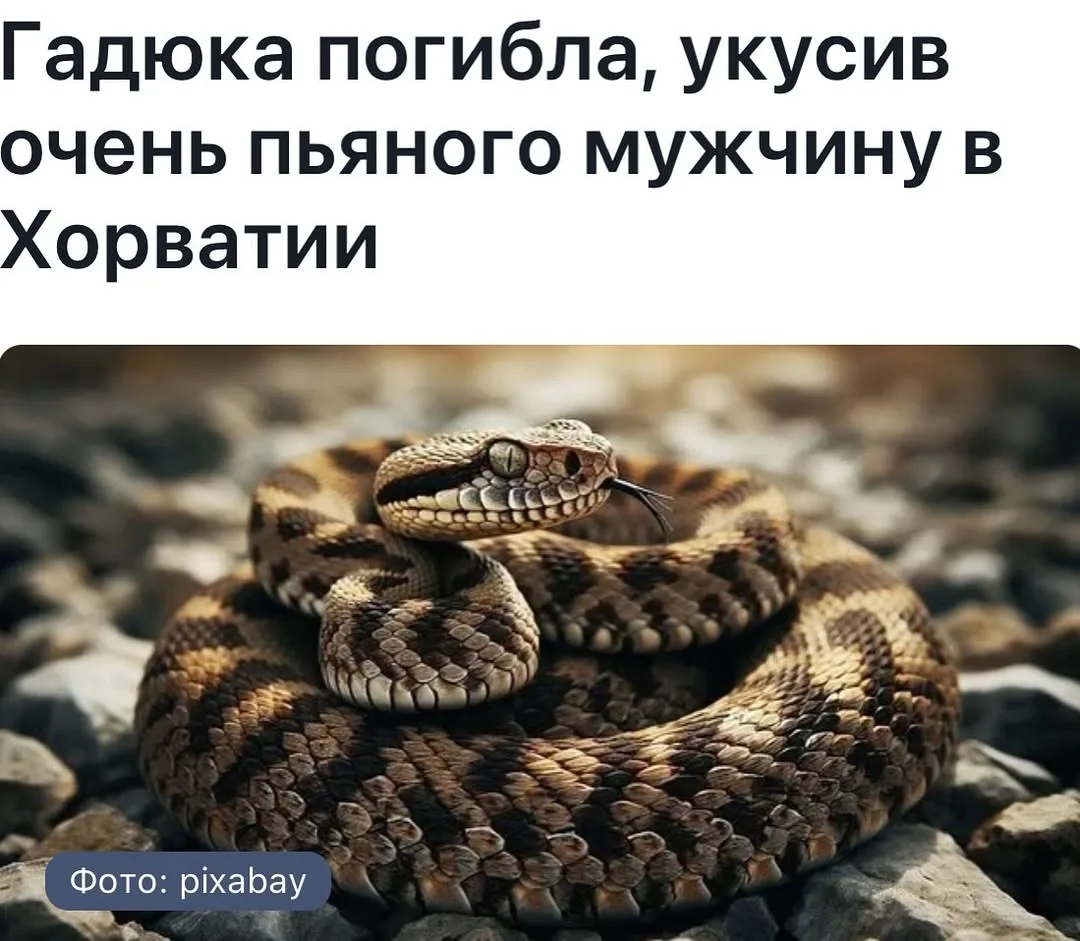 Алкоголь иногда все-таки спасет 😅
