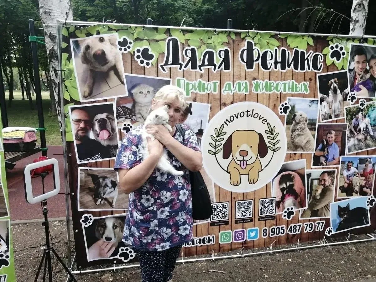 Когда доброта становится проектом:  «Виртуальный приют»! ❤️🐶 Ко Дню защиты животных ре...