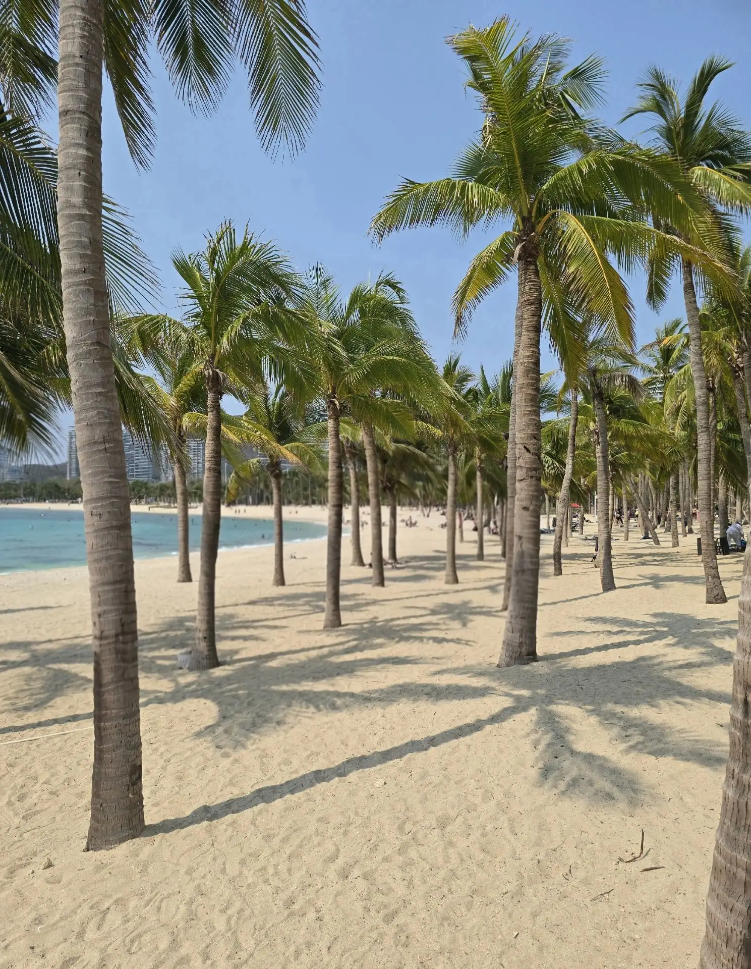 Устали от серости и будильников? Ловите билеты в вечное лето! 🌴