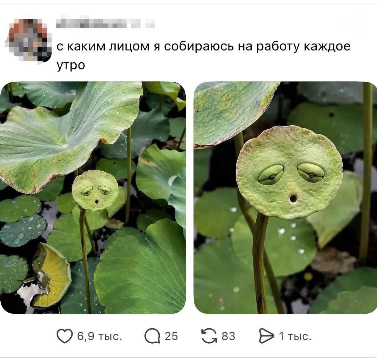 ☀️ Отличного дня!