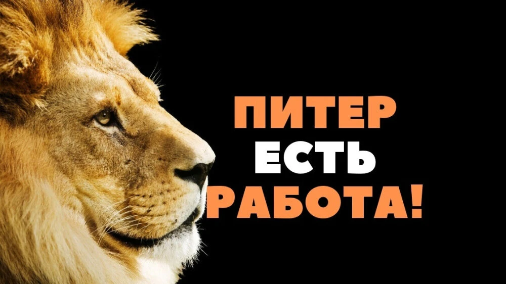Смотрите вакансии СПб там, где удобно вам: