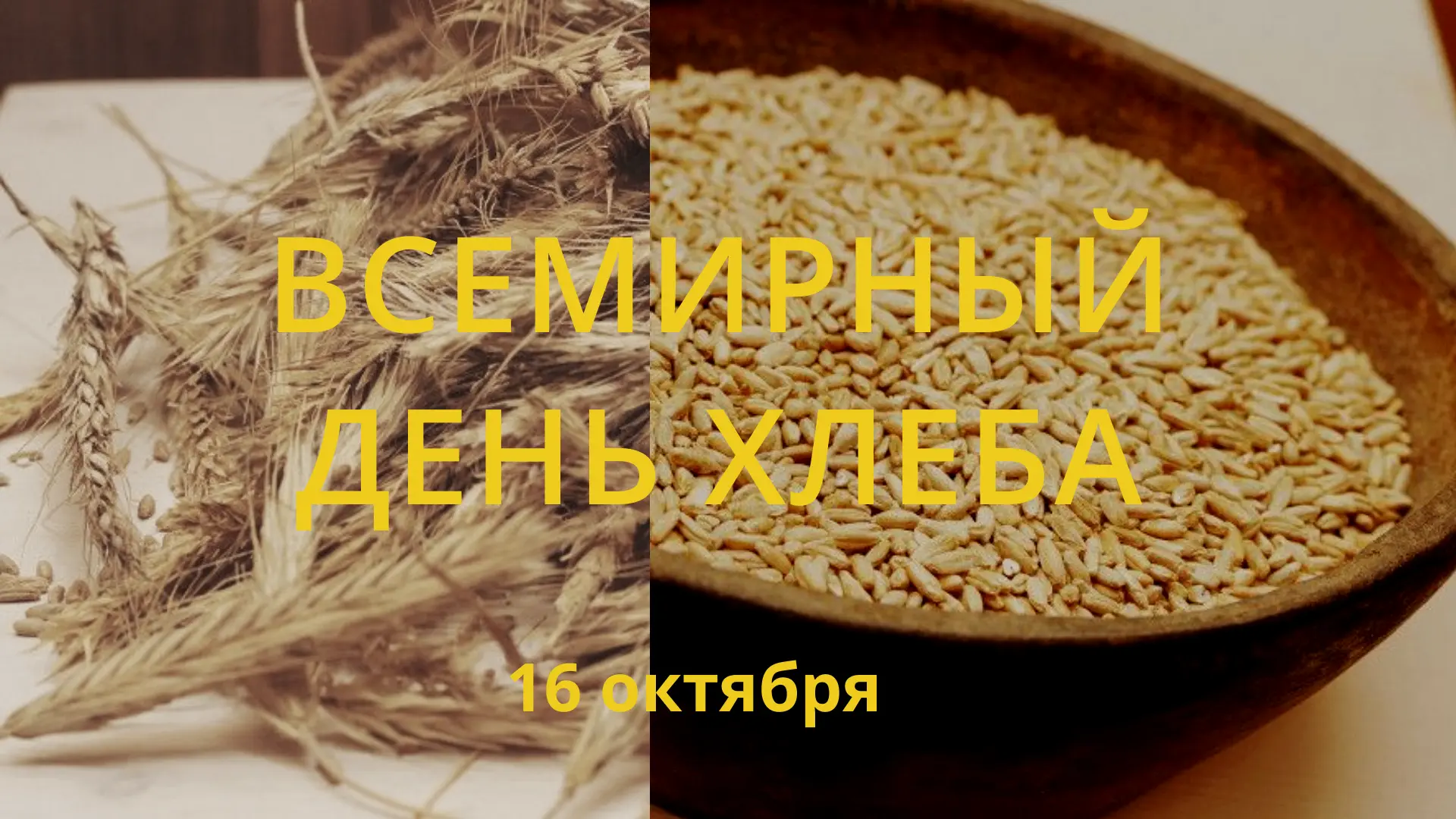 🍞 16 октября мы отмечаем Всемирный день хлеба — праздник, посвящённый одному из самых ...