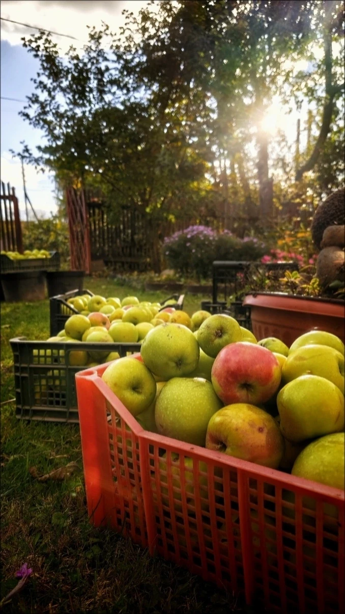 🍎Доброе октябрьское утро!