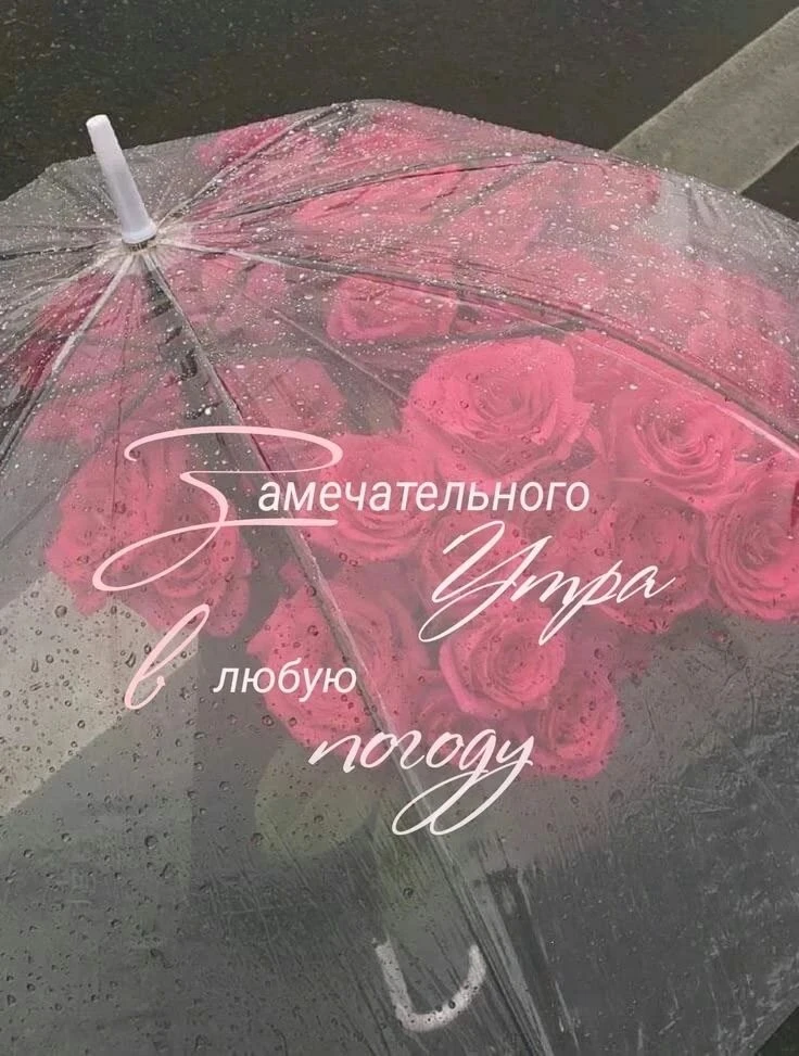 🍃💐🍃