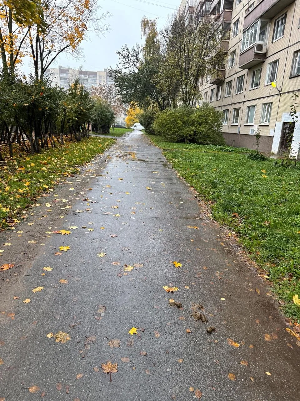 Уже которую неделю на дорожке к 557 школе и 130 дс какой-то недочеловек оставляет вот т...