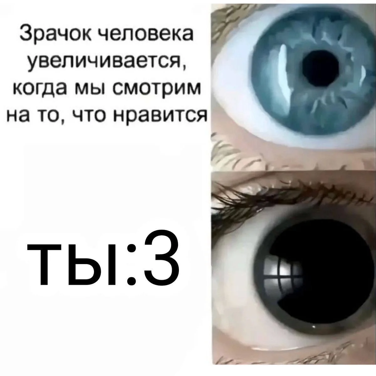 *ты знаешь, кому переслать <З