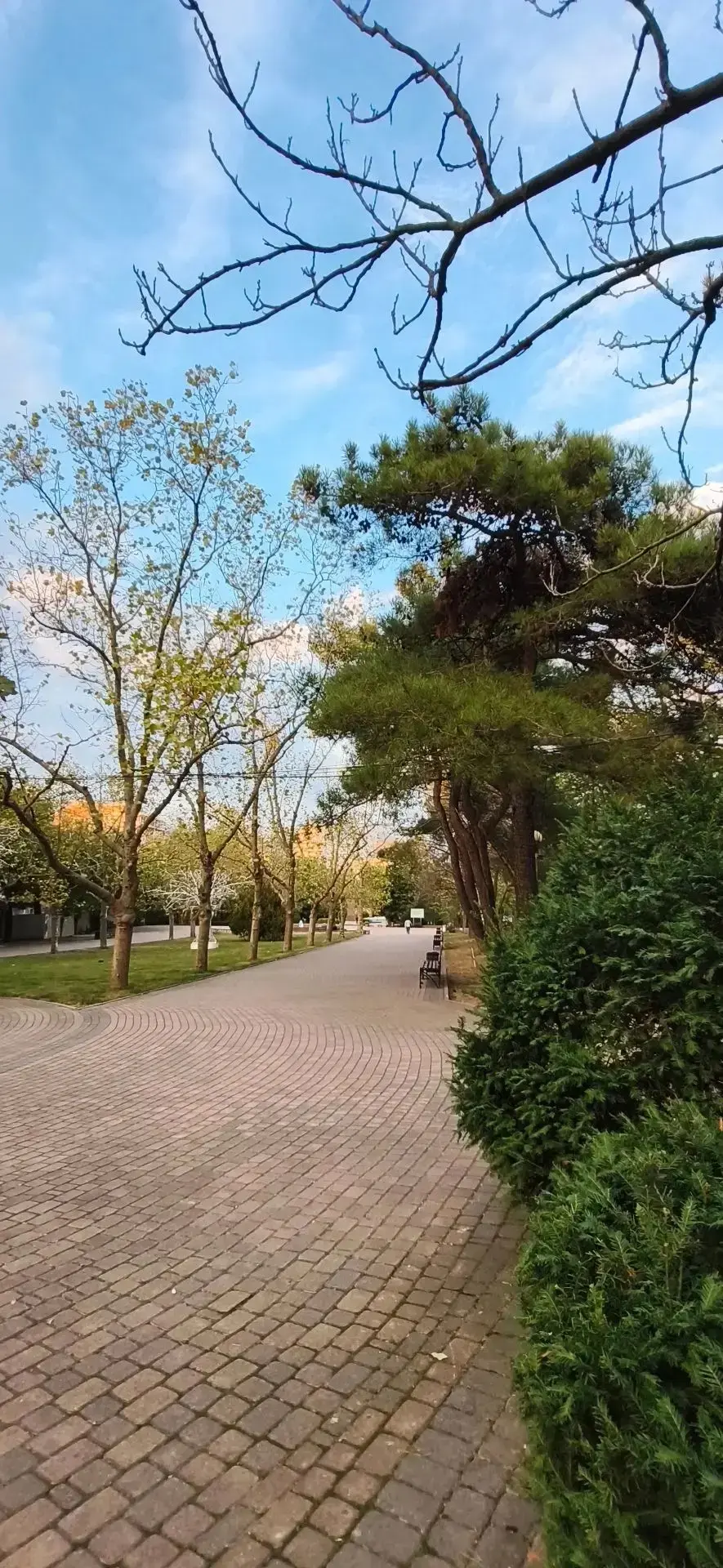 🤍 Уютный осенний вечер в парке
