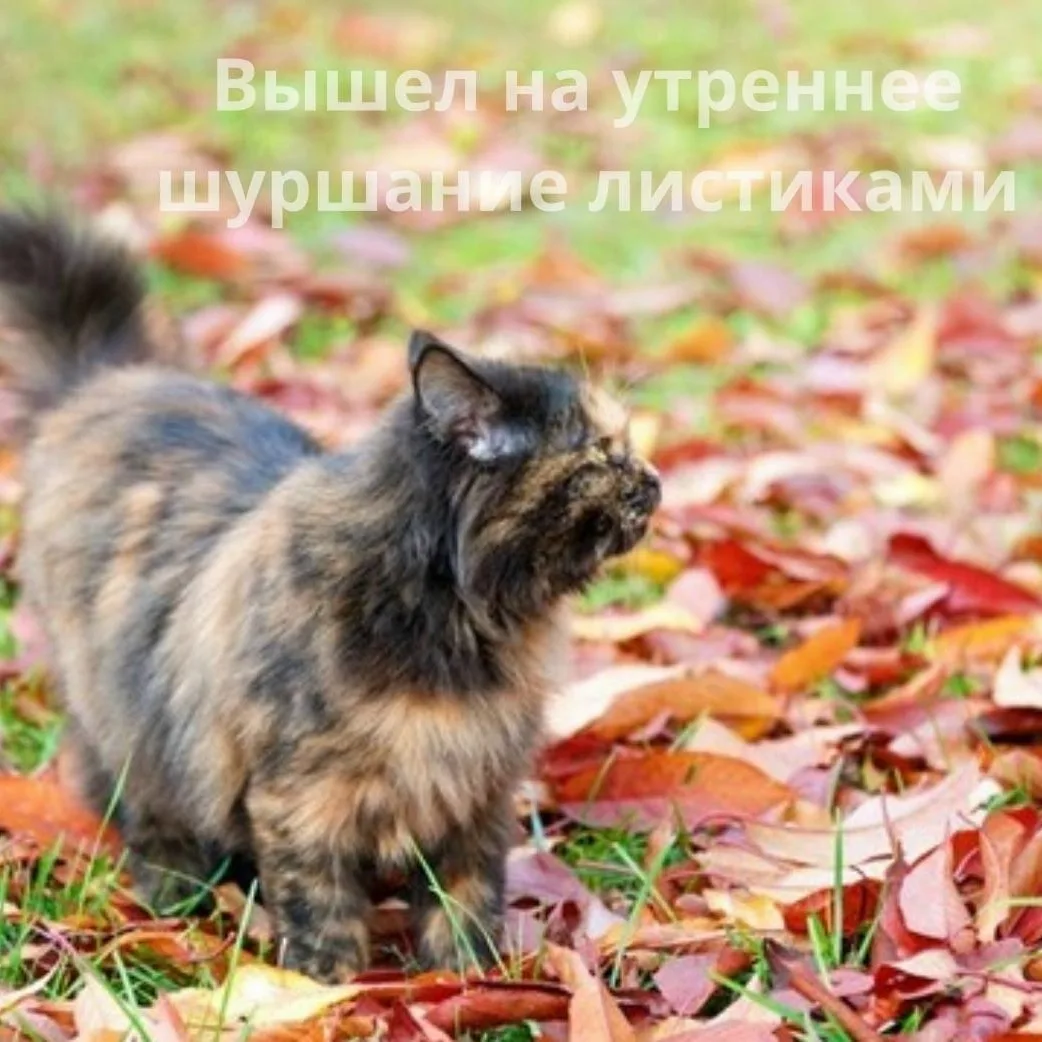 Доброе утро, петербуржцы!