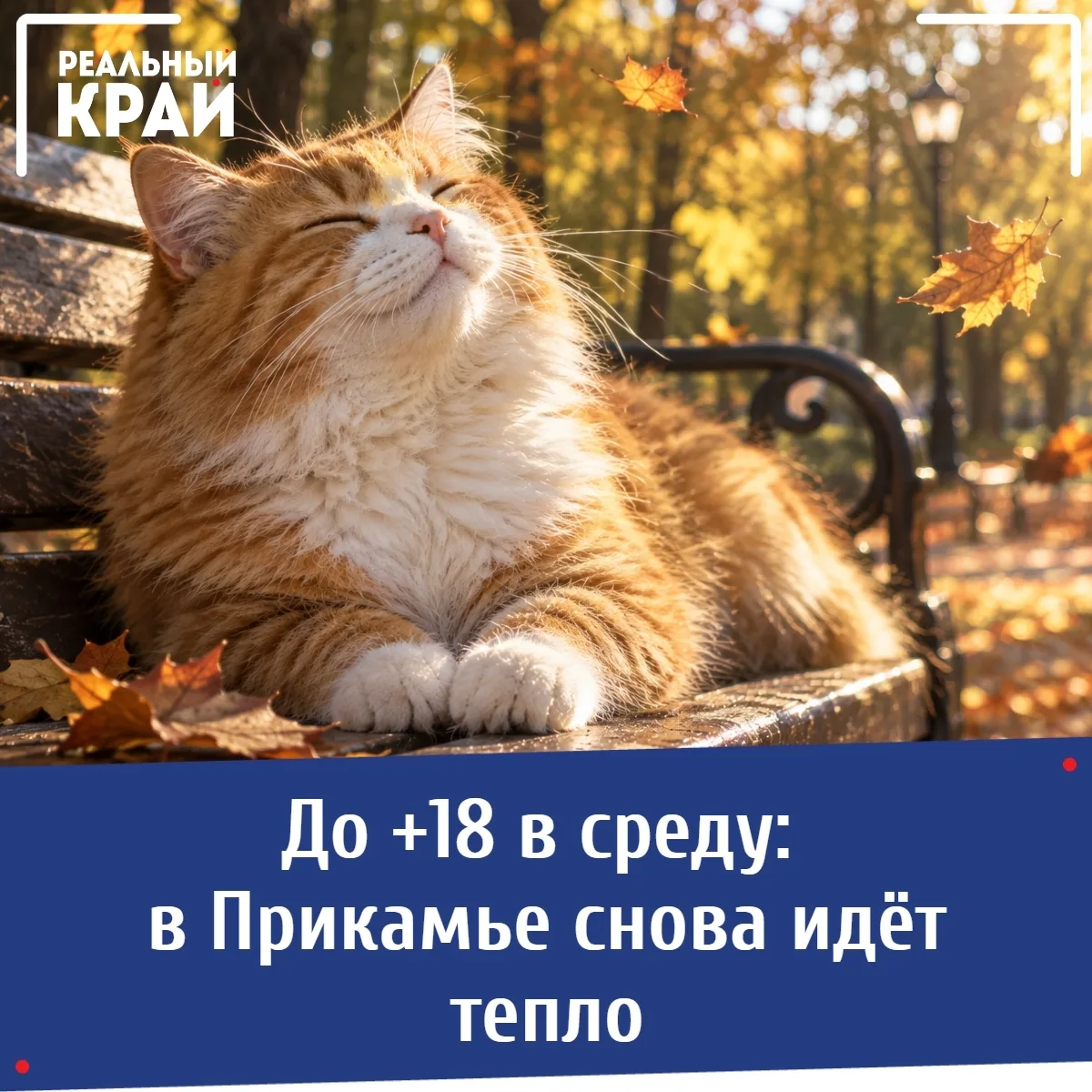 🌤 До +18 в среду: в Прикамье снова идёт тепло