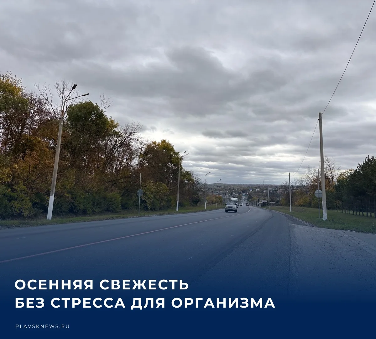 ☁️ 10 октября в регионе ожидается облачная погода с небольшим дождем. По данным синопти...