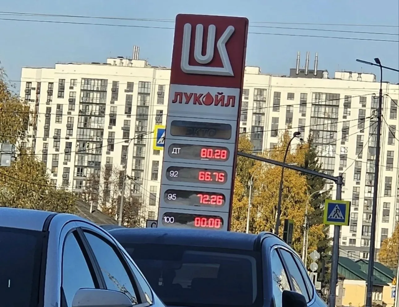 Лук гпз