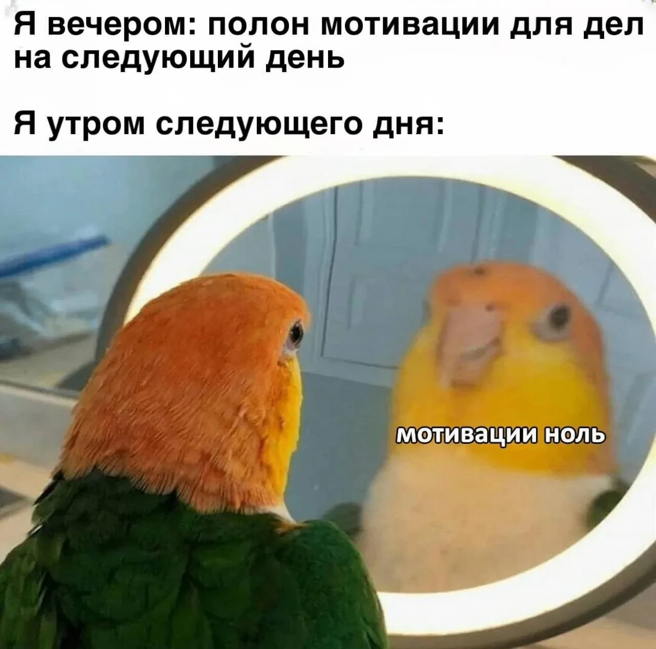 Девчачьи мемы 👑