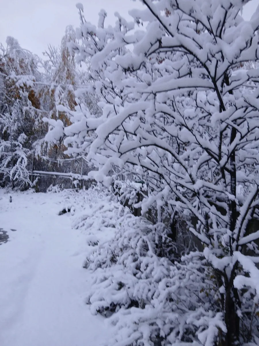 Желаем всем спокойного вечера, тепла и хорошего настроения.❄️🤍