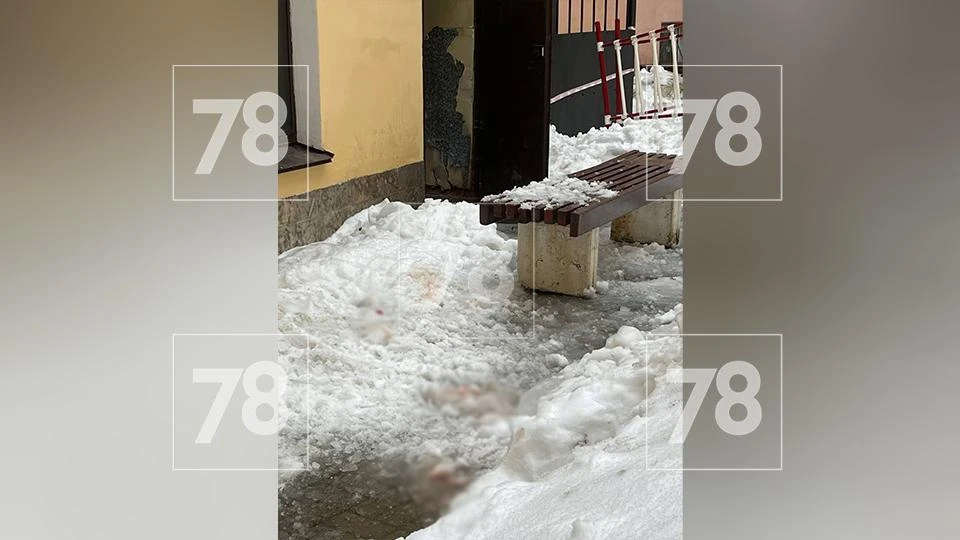 🧊 Глыба льда сломала жизнь петербурженке, а управляющая компания не признаёт вины