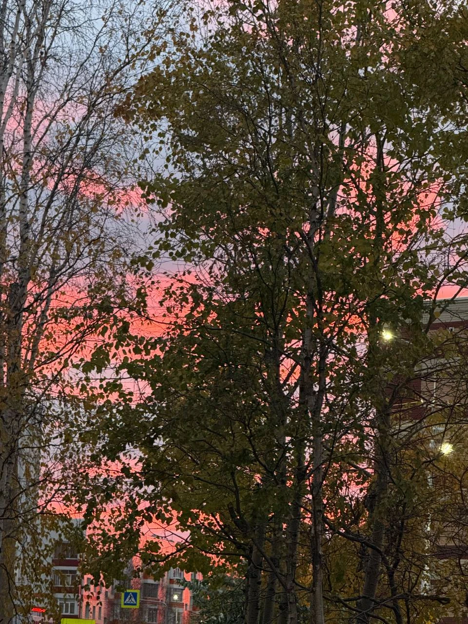 🌦☁⛅🌥 Днём в Сургуте +4°С. Ветер северо-западный 5 м/с.