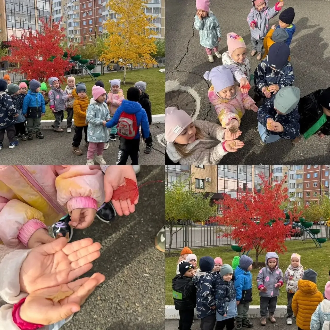 🍂Осенние открытия наших «Фантазёров»!