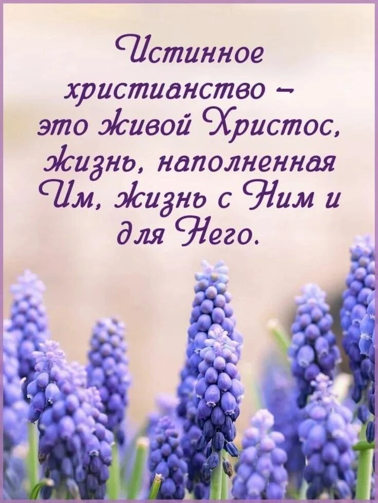 💐🪻💐🪻💐🪻💐🪻💐🪻