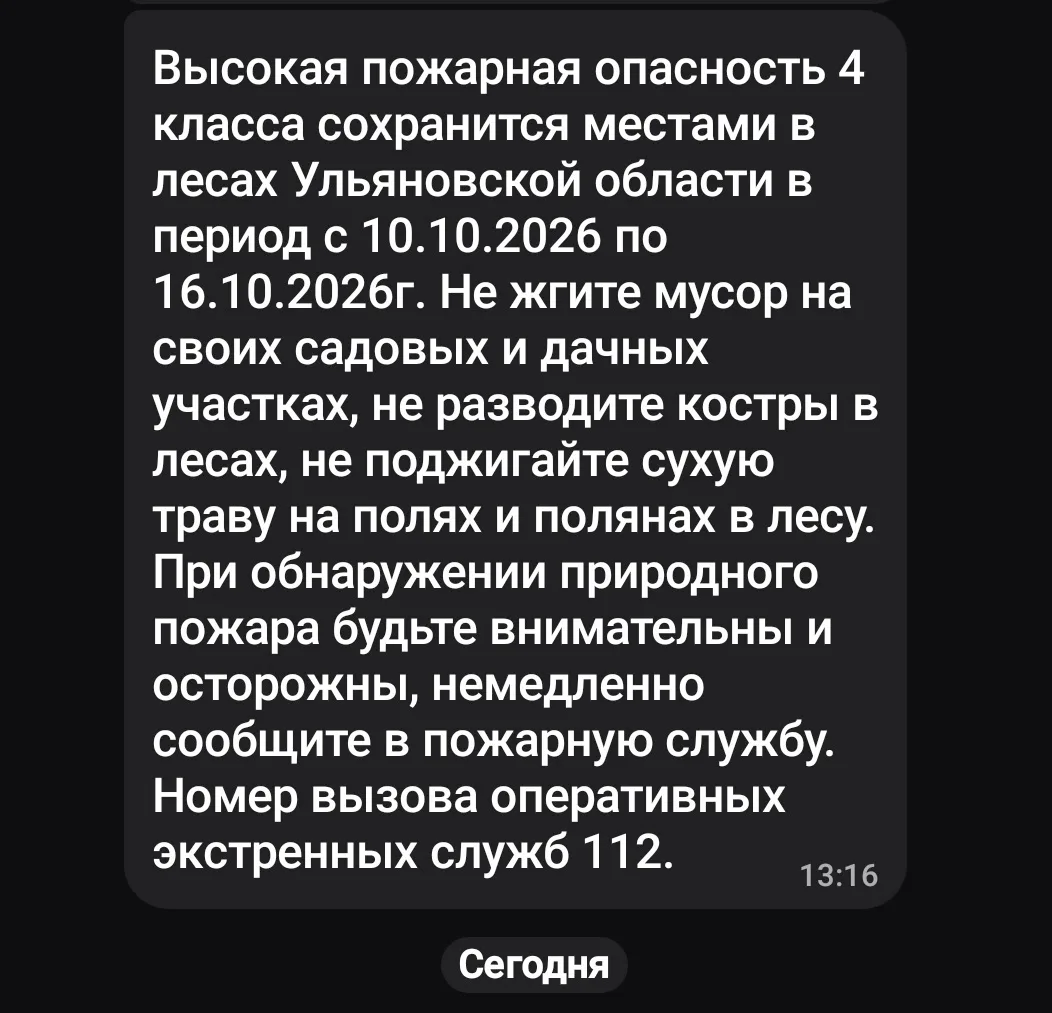 Снова жгут пни на участках в Курчатовском лесу.