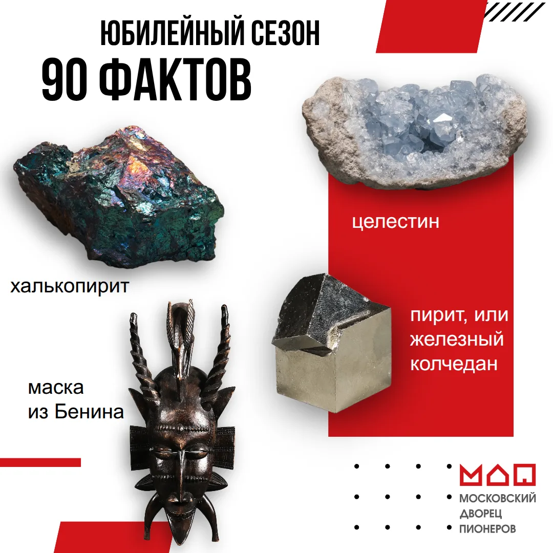 🏛 90 фактов о Дворце. Факт №8