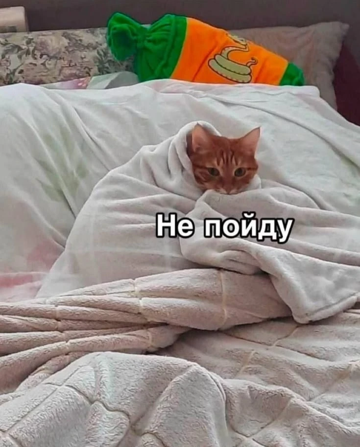 Доброе утро!