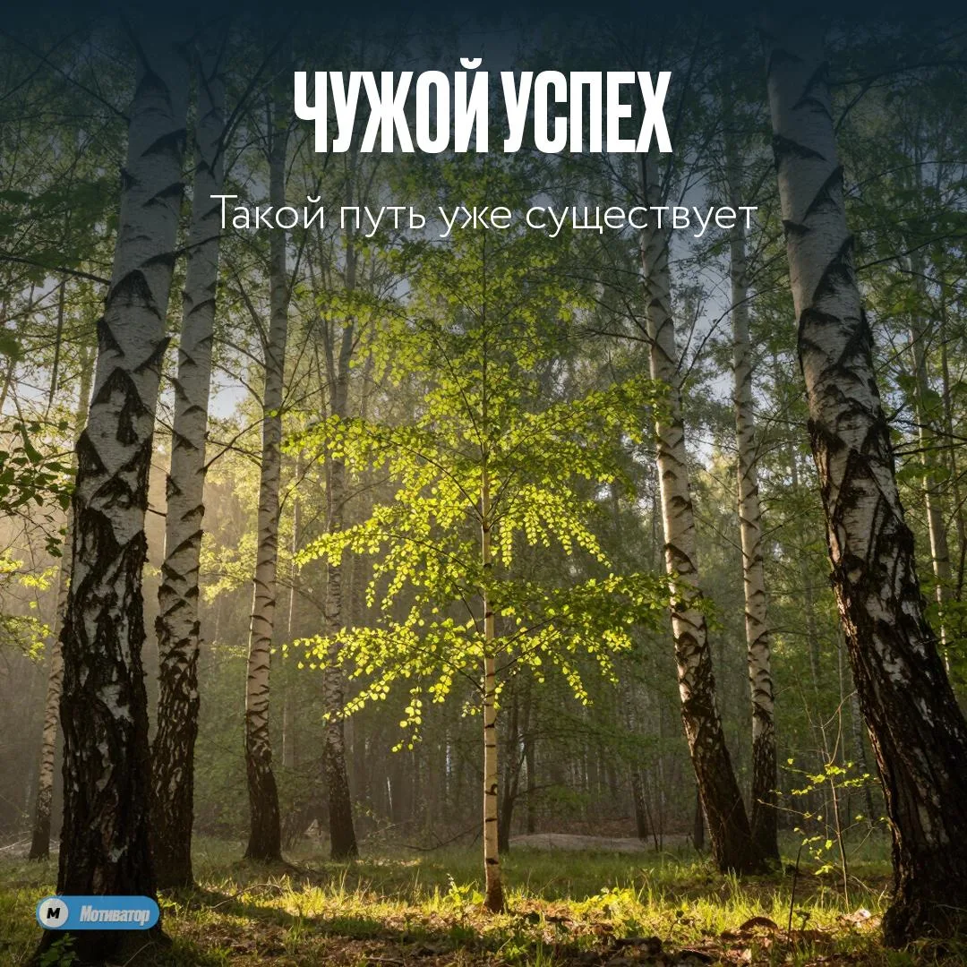 ☀️ Чужой успех — хороший знак