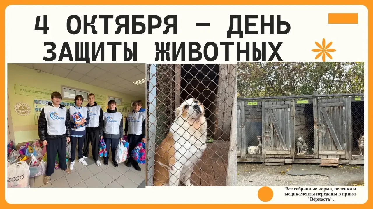 «Мокрый нос, верные глаза»: наша школа доказала, что доброта не знает возраста